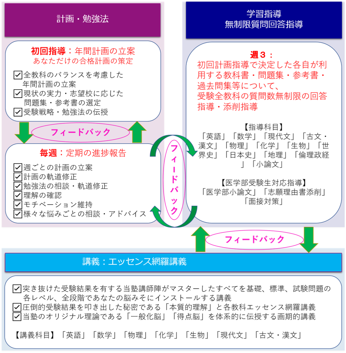 医学部受験個別指導と講義の全体像