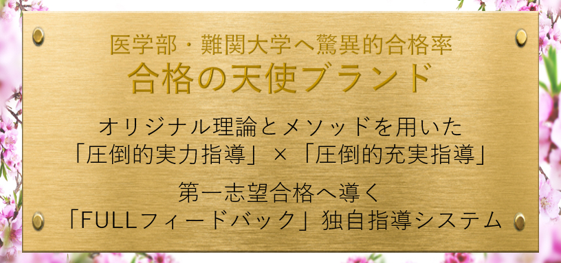 医学部受験の個別指導なら(株)合格の天使ブランド