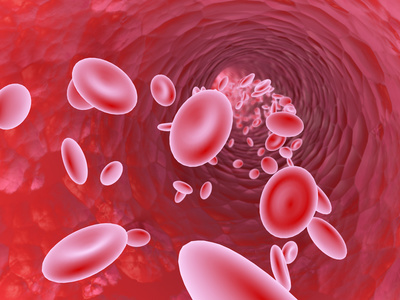 生物基礎の勉強法と対策